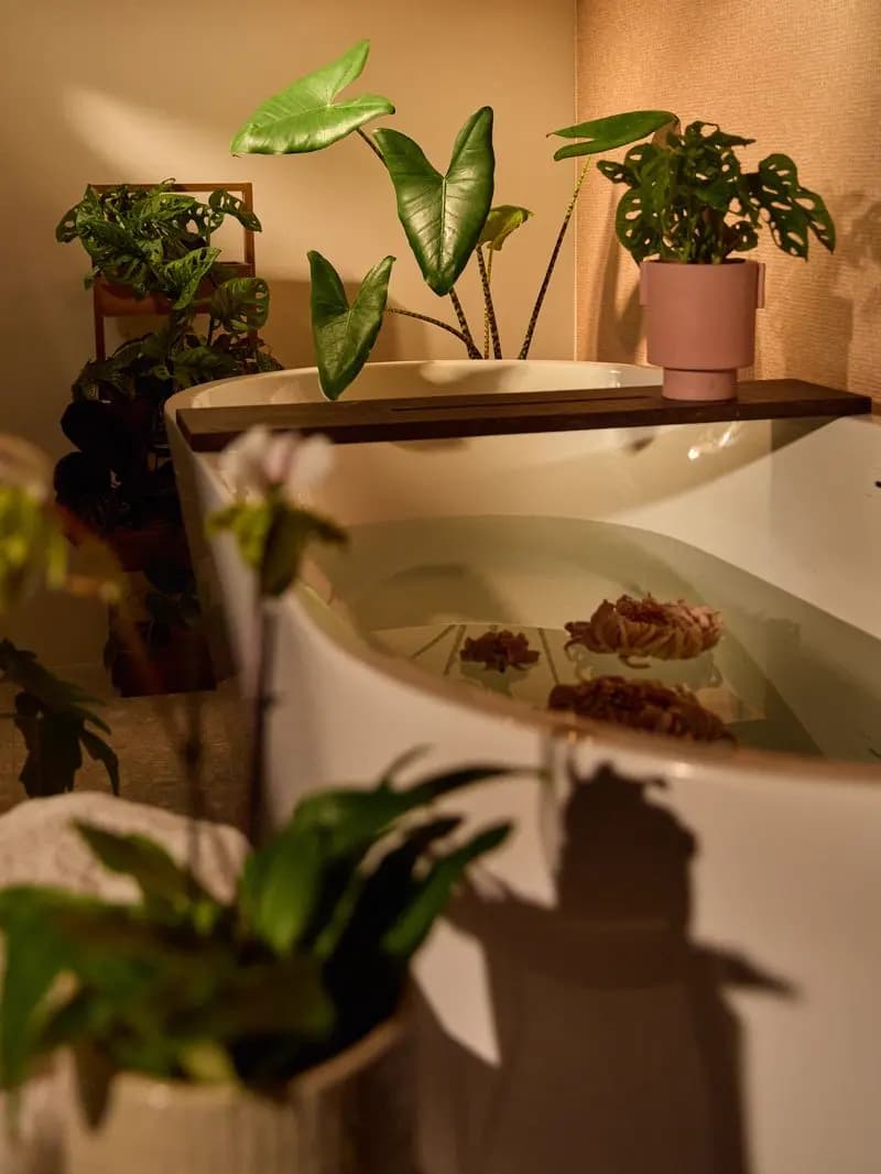 Planten